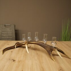Schnapsanbieter 5 große Gläser Steckglas mit Stiel auf Rothirschstange Geschenk 27.60.2.64