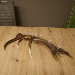 Schnapsanbieter 5 große Gläser Steckglas mit Stiel auf Rothirschstange Geschenk 27.60.2.64