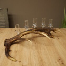 Schnapsanbieter 5 große Gläser Steckglas mit Stiel auf Rothirschstange Geschenk 27.60.2.64