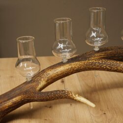 Schnapsanbieter 5 große Gläser Steckglas mit Stiel auf Rothirschstange Geschenk 27.60.2.64