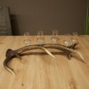 Set da liquore: 5 bicchieri alti con stelo su un supporto...
