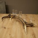Set da liquore: 5 bicchieri alti con stelo su un supporto a forma di corna di cervo rosso - Regalo 27.60.2.66