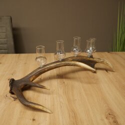 Set da liquore: 5 bicchieri alti con stelo su un supporto a forma di corna di cervo rosso - Regalo 27.60.2.66