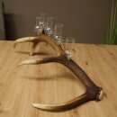 Set da liquore: 5 bicchieri alti con stelo su un corno di...