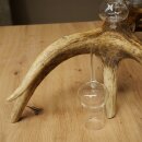 Schnapsanbieter 5 große Gläser Steckglas mit Stiel auf Rothirschstange Geschenk 27.60.2.67