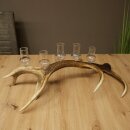 Schnapsanbieter 5 große Gläser Steckglas mit Stiel auf Rothirschstange Geschenk 27.60.2.67
