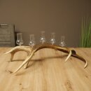 Schnapsanbieter 5 große Gläser Steckglas mit Stiel auf Rothirschstange Geschenk 27.60.2.67