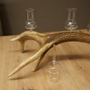 Schnapsanbieter 5 große Gläser Steckglas mit Stiel auf Rothirschstange Geschenk 27.60.2.67