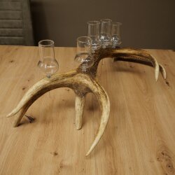 Schnapsanbieter 5 große Gläser Steckglas mit Stiel auf Rothirschstange Geschenk 27.60.2.67