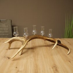 Schnapsanbieter 5 große Gläser Steckglas mit Stiel auf Rothirschstange Geschenk 27.60.2.67