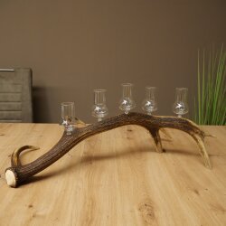Schnapsanbieter 5 große Gläser Steckglas mit Stiel auf Rothirschstange Geschenk 27.60.2.67