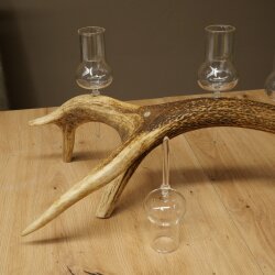 Schnapsanbieter 5 große Gläser Steckglas mit Stiel auf Rothirschstange Geschenk 27.60.2.67