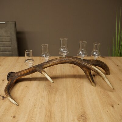 Schnapsanbieter 5 große Gläser Steckglas mit Stiel auf Rothirschstange Geschenk 27.60.2.68