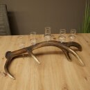 Set da liquore: 5 bicchieri alti con stelo su un supporto...