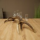 Schnapsanbieter 5 große Gläser Steckglas mit Stiel auf Rothirschstange Geschenk 27.60.2.68