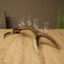 Schnapsanbieter 5 große Gläser Steckglas mit Stiel auf Rothirschstange Geschenk 27.60.2.68
