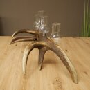 Schnapsanbieter 5 große Gläser Steckglas mit Stiel auf Rothirschstange Geschenk 27.60.2.68