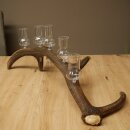 Schnapsanbieter 5 große Gläser Steckglas mit Stiel auf Rothirschstange Geschenk 27.60.2.68