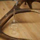 Schnapsanbieter 5 große Gläser Steckglas mit Stiel auf Rothirschstange Geschenk 27.60.2.68