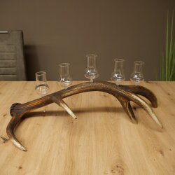 Schnapsanbieter 5 große Gläser Steckglas mit Stiel auf Rothirschstange Geschenk 27.60.2.68