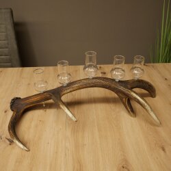 Schnapsanbieter 5 große Gläser Steckglas mit Stiel auf Rothirschstange Geschenk 27.60.2.68