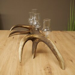 Schnapsanbieter 5 große Gläser Steckglas mit Stiel auf Rothirschstange Geschenk 27.60.2.68