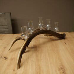 Schnapsanbieter 5 große Gläser Steckglas mit Stiel auf Rothirschstange Geschenk 27.60.2.68