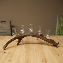 Schnapsanbieter 5 große Gläser Steckglas mit Stiel auf Rothirschstange Geschenk 27.60.2.68