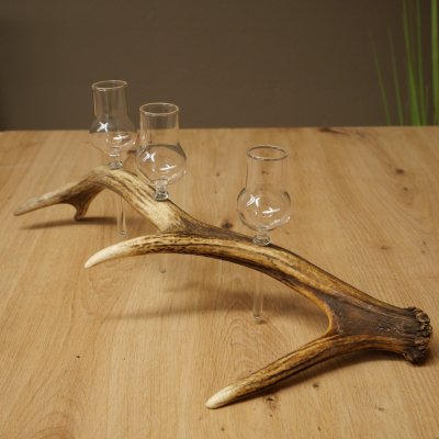 Schnapsleverancier 3x kleine glazen met steel op een stang van roodhertenhoorn Cadeau 27.60.2.70