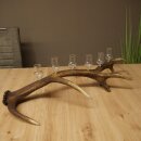Set da liquore: 6 bicchierini con stelo su un corno di...