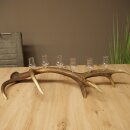 Schnapsanbieter 6 x kleine Gläser Steckglas mit Stiel auf Rothirschstange Geschenk 27.60.2.71