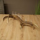 Schnapsanbieter 6 x kleine Gläser Steckglas mit Stiel auf Rothirschstange Geschenk 27.60.2.71