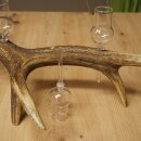 Schnapsanbieter 6 x kleine Gläser Steckglas mit Stiel auf Rothirschstange Geschenk 27.60.2.71
