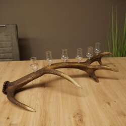 Schnapsanbieter 6 x kleine Gläser Steckglas mit Stiel auf Rothirschstange Geschenk 27.60.2.71