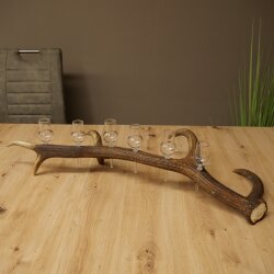 Schnapsanbieter 6 x kleine Gläser Steckglas mit Stiel auf Rothirschstange Geschenk 27.60.2.71