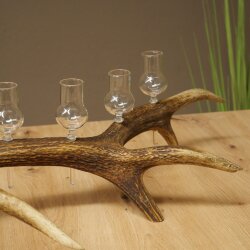 Schnapsanbieter 6 x kleine Gläser Steckglas mit Stiel auf Rothirschstange Geschenk 27.60.2.71