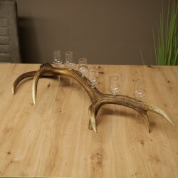 Schnapsanbieter 6 x kleine Gläser Steckglas mit Stiel auf Rothirschstange Geschenk 27.60.2.71