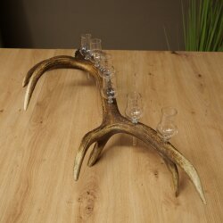 Schnapsanbieter 6 x kleine Gläser Steckglas mit Stiel auf Rothirschstange Geschenk 27.60.2.71