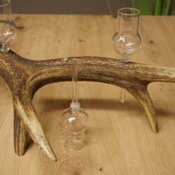 Schnapsanbieter 6 x kleine Gläser Steckglas mit Stiel auf Rothirschstange Geschenk 27.60.2.71