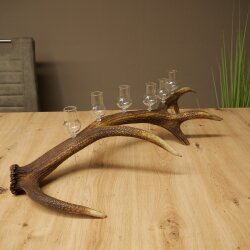 Schnapsanbieter 6 x kleine Gläser Steckglas mit Stiel auf Rothirschstange Geschenk 27.60.2.71