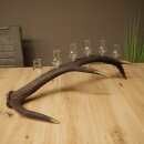 Set da liquore: 6 bicchierini con stelo su un corno di...