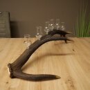 Schnapsanbieter 6 x kleine Gläser Steckglas mit Stiel auf Rothirschstange Geschenk 27.60.2.72