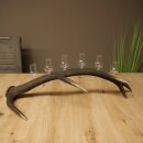 Schnapsanbieter 6 x kleine Gläser Steckglas mit Stiel auf Rothirschstange Geschenk 27.60.2.72