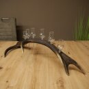 Schnapsanbieter 6 x kleine Gläser Steckglas mit Stiel auf Rothirschstange Geschenk 27.60.2.72