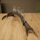 Schnapsanbieter 6 x kleine Gläser Steckglas mit Stiel auf Rothirschstange Geschenk 27.60.2.72