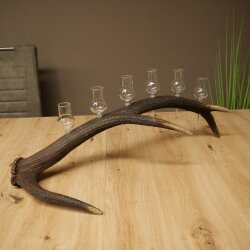 Schnapsanbieter 6 x kleine Gläser Steckglas mit Stiel auf Rothirschstange Geschenk 27.60.2.72