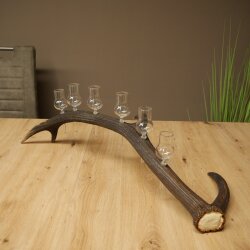 Schnapsanbieter 6 x kleine Gläser Steckglas mit Stiel auf Rothirschstange Geschenk 27.60.2.72