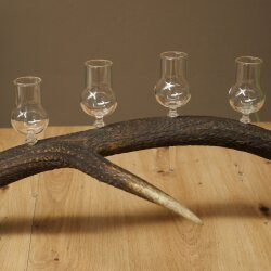 Schnapsanbieter 6 x kleine Gläser Steckglas mit Stiel auf Rothirschstange Geschenk 27.60.2.72