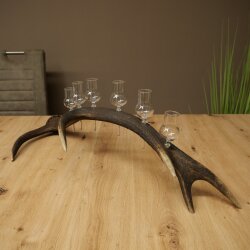 Schnapsanbieter 6 x kleine Gläser Steckglas mit Stiel auf Rothirschstange Geschenk 27.60.2.72