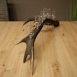 Schnapsanbieter 6 x kleine Gläser Steckglas mit Stiel auf Rothirschstange Geschenk 27.60.2.72